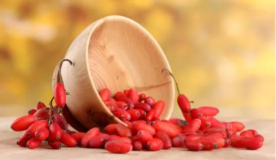 Berberine Extract